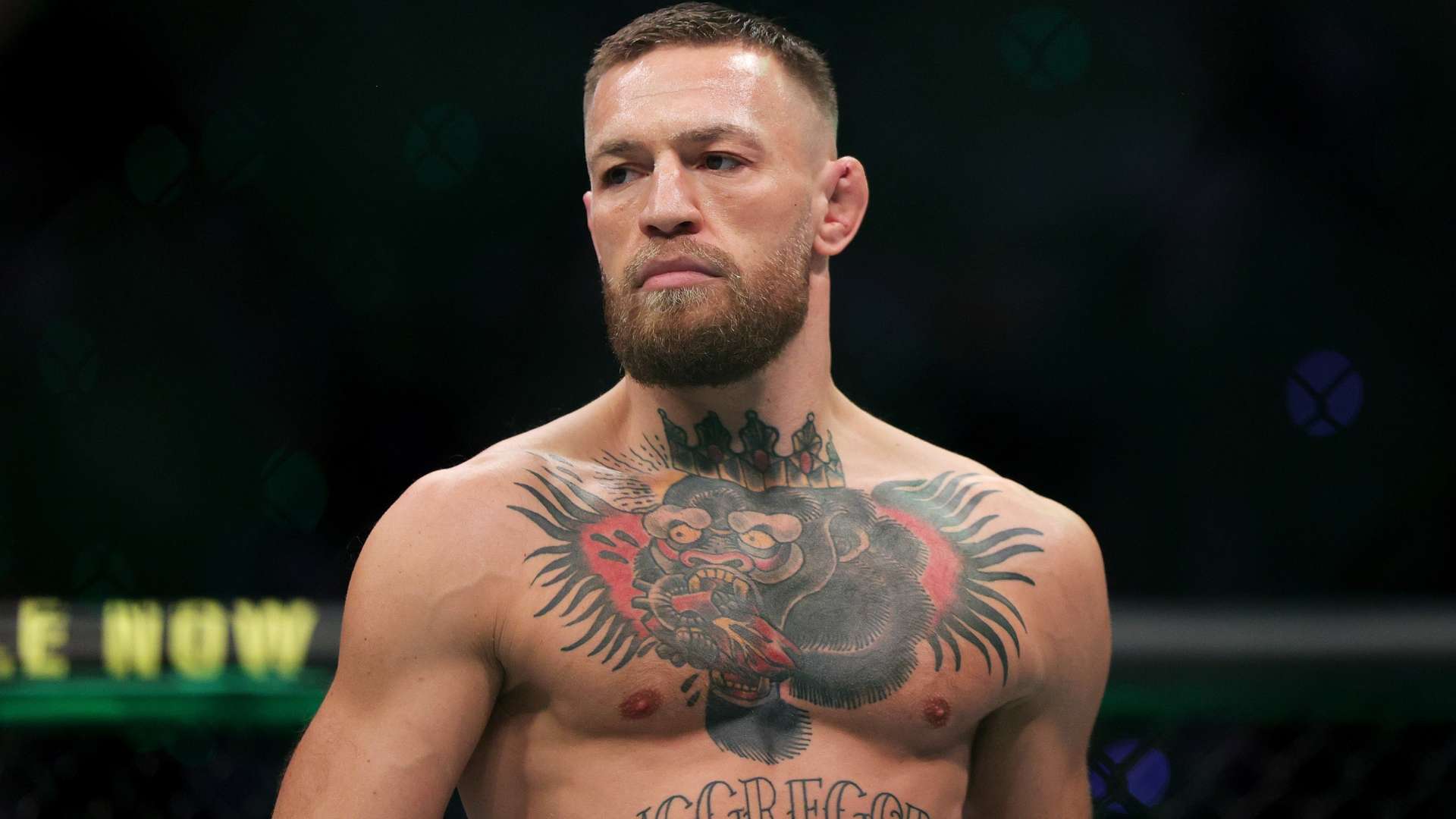 23／24賽季歐冠第2輪朗斯2-1阿森納 拉亞失誤送禮薩卡傷退 阿森納吞賽季首敗！.